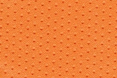 DOTTED-6257