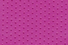 DOTTED-70430