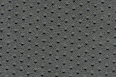 DOTTED-9677