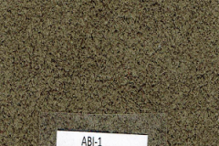 ABI-1