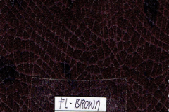 FL-BROWN