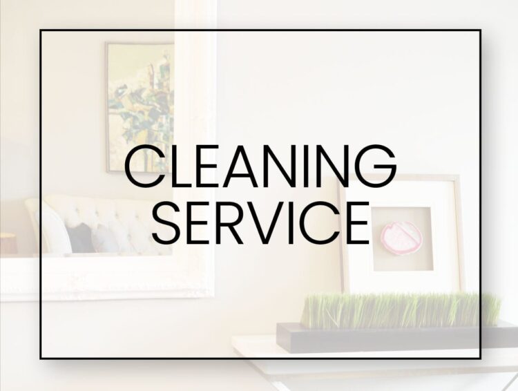 Cleaning Service